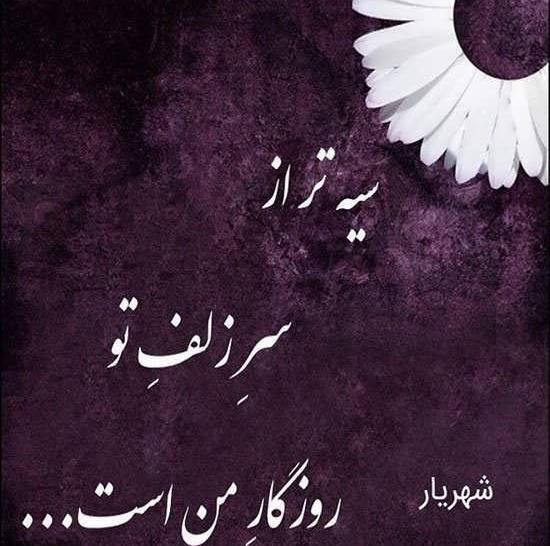 عکس نوشته شهریار تولدت مبارک
