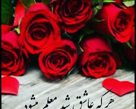 عکس نوشته میخوام معلم بشم