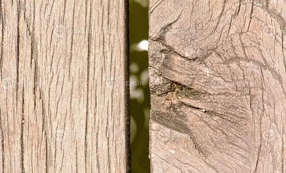 عکس بافت چوب