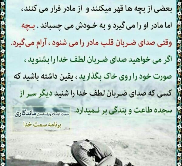 عکس شب یلدا زینب