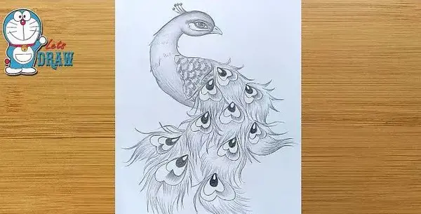 عکس نقاشی سیمرغ ساده و زیبا