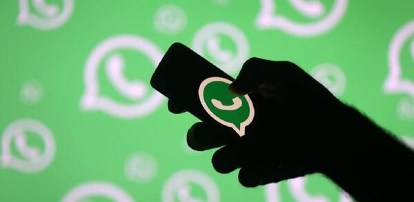 عکس شیر برای پروفایل واتساپ