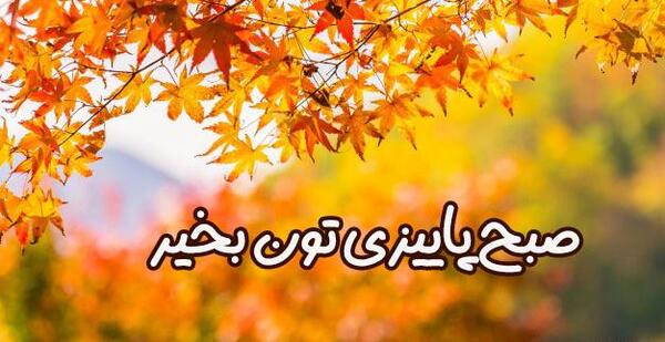 عکس استوری صبح پاییزی بخیر