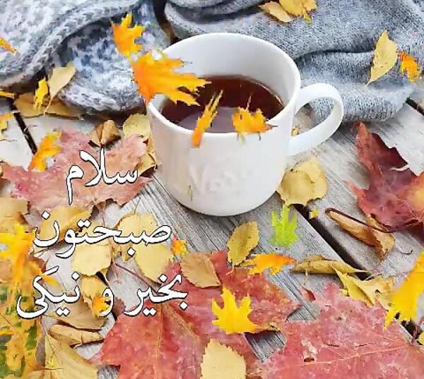عکس استوری صبح پاییزی بخیر