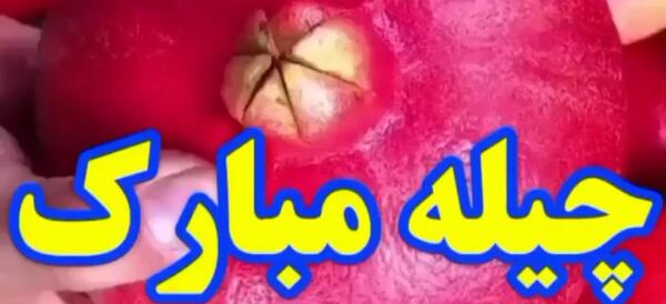عکس یلدای ترکی