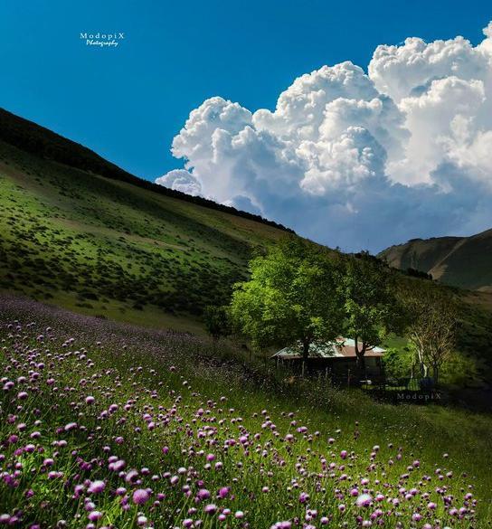 عکسهای زیبا از طبیعت گیلان