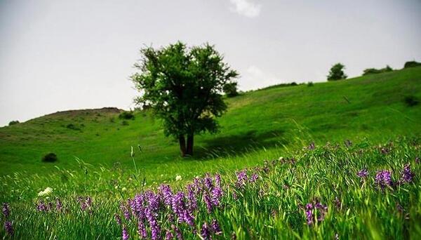 عکسهای زیبا از طبیعت گیلان