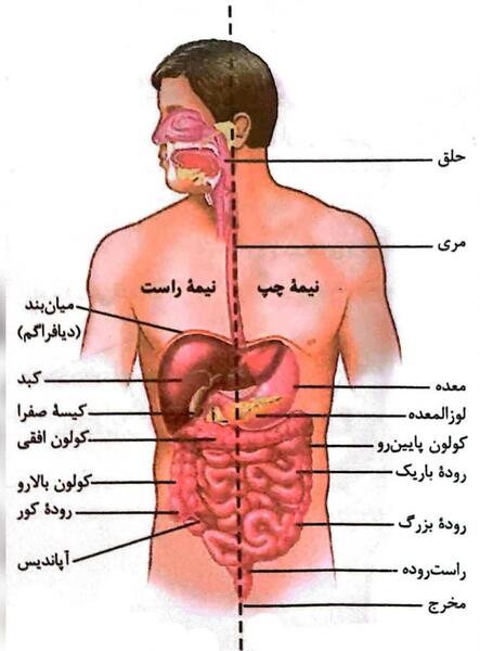 عکس حلق کنی
