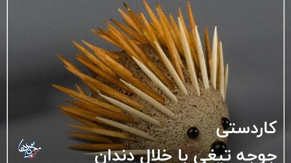 عکس جوجه تیغی کاردستی