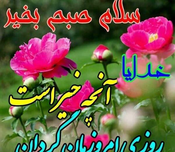عکس سلام صبح بخیر یلدایی