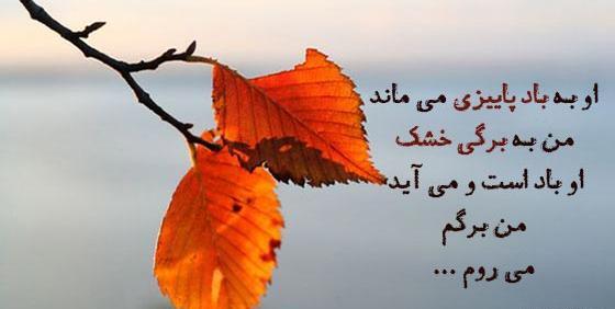 عکس پروفایل برگ های پاییزی