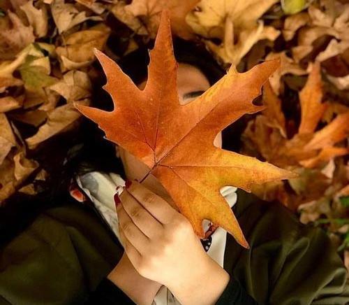 عکس پروفایل برگ های پاییزی
