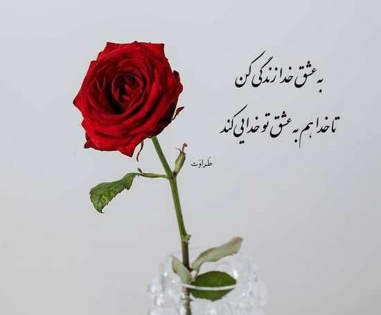 عکس عشق خدا