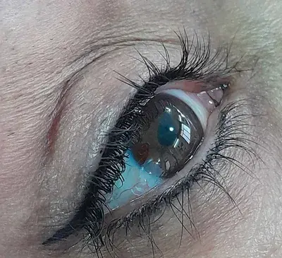 عکس بن مژه طبیعی