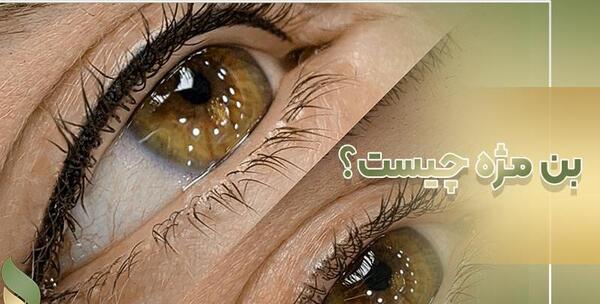 عکس بن مژه طبیعی
