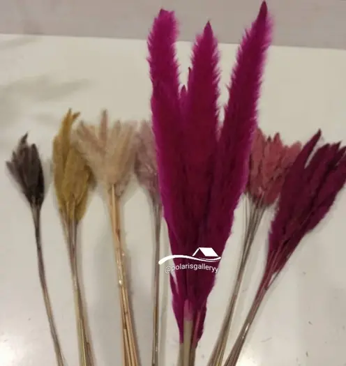 عکس روباه گل