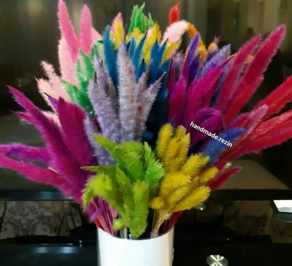 عکس روباه گل