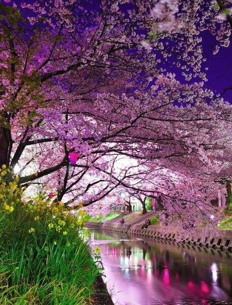 عکس تصویر زمینه ژاپن