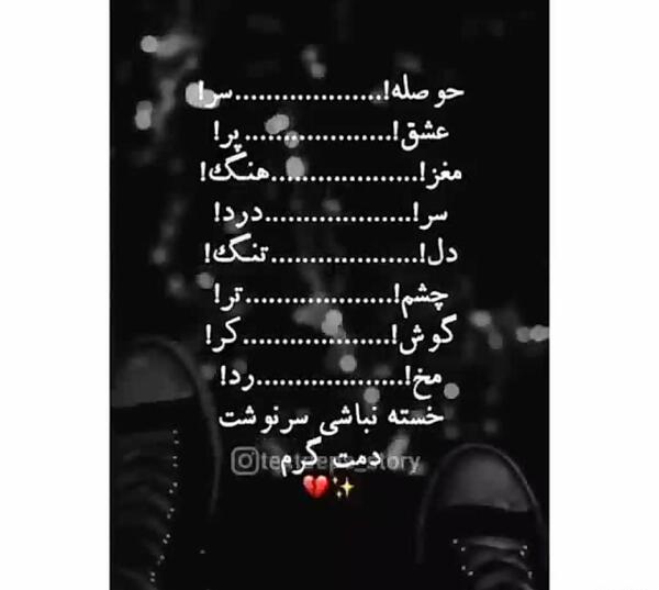 عکس ببر گنگ