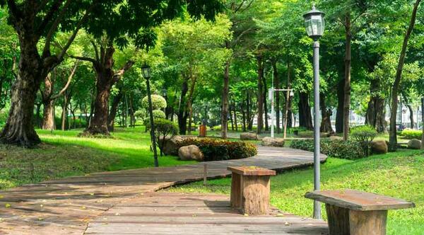 عکس نقاشی ییلدیز