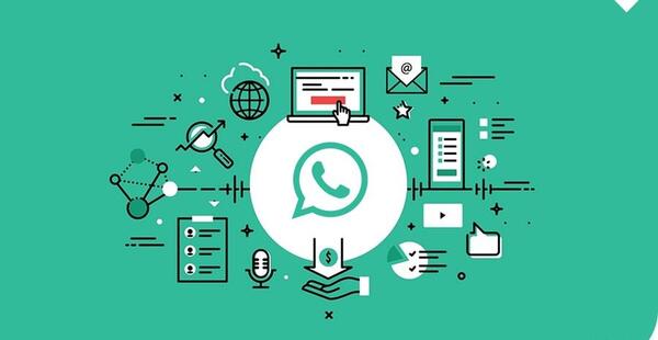 عکس واتساپ بیزینس