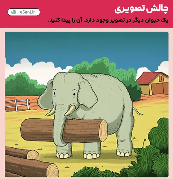 عکس چالش ع