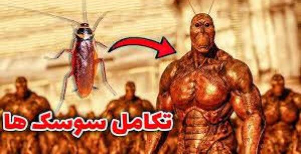 عکس سوسک میخوام