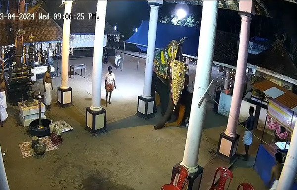 عکس ممد قلی خشمگین