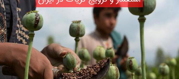 عکس تریاک ایرانی