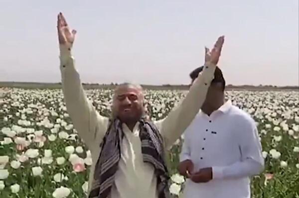 عکس تریاک ایرانی