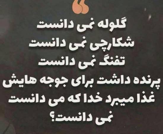 عکس نوشته زیبا مفهومی جدید