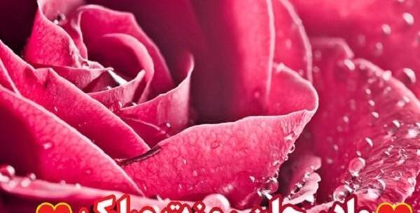 دانلود عکس روز مادر پیشاپیش