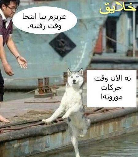 عکس طنز حیوانات جدید