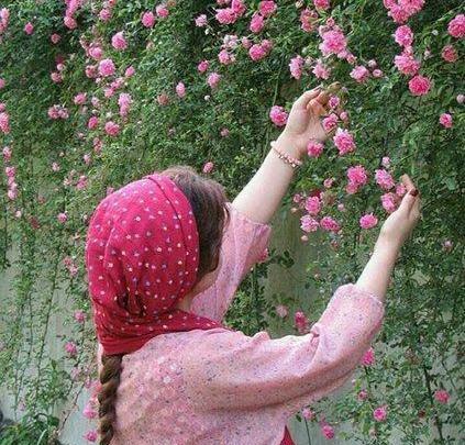 عکس پروفایل طبیعت نوشته