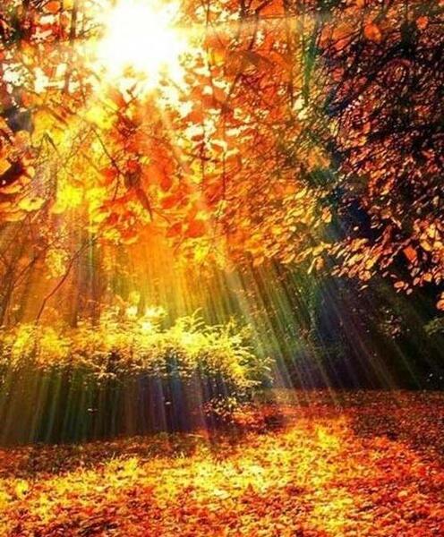 عکس پروفایل طبیعت نوشته