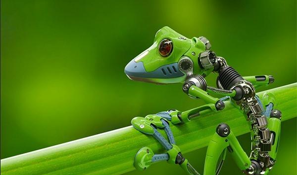 عکس مارمولک رباتیک