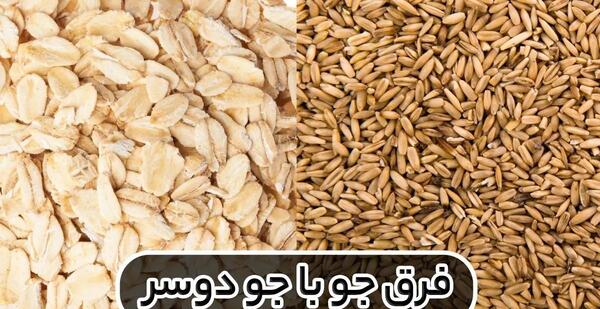 عکس پرک جو دو سر