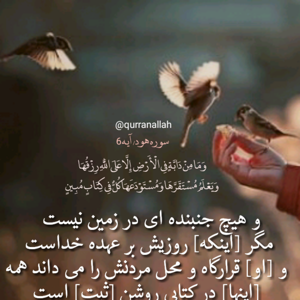 عکس نوشته قرانی زیبا