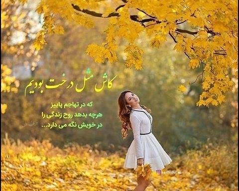 عکس پروفایل زیبا طبیعت پاییز