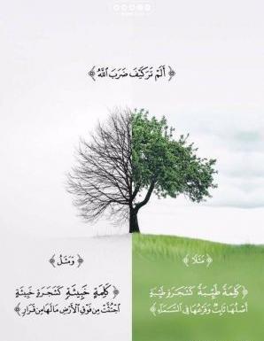 عکسهای طیبه ابراهیم