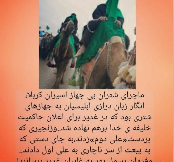 عکس جهاز شتر