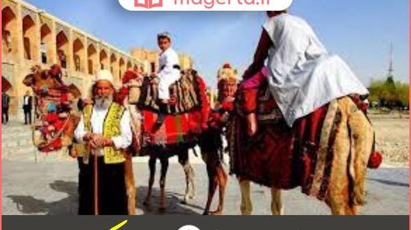 عکس جهاز شتر