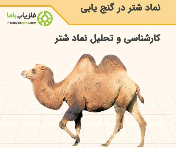 عکس جهاز شتر