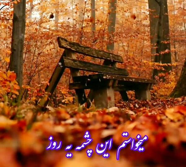 عکس استوری پاییز با صدای حجت اشرف زاده