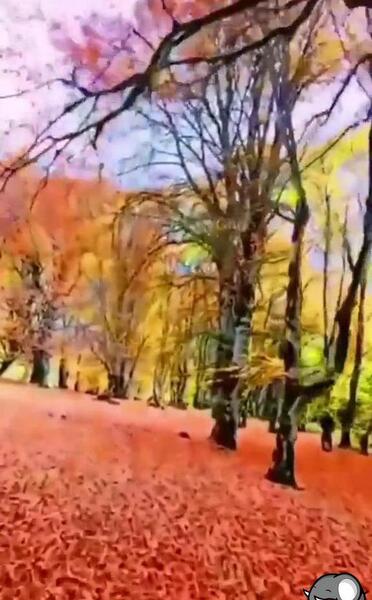 عکس استوری پاییز با صدای حجت اشرف زاده