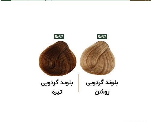عکس رنگ مو گردویی روشن