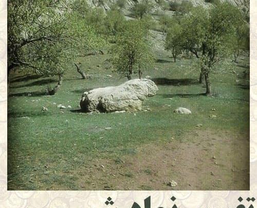 عکس شیر چیست