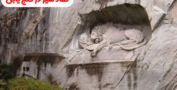 عکس شیر چیست