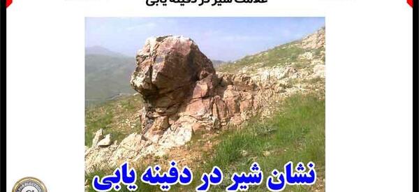 عکس شیر چیست