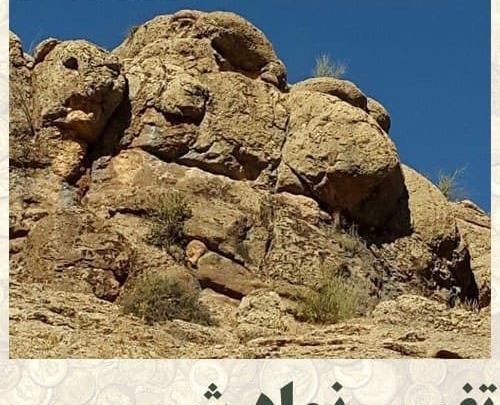 عکس شیر چیست